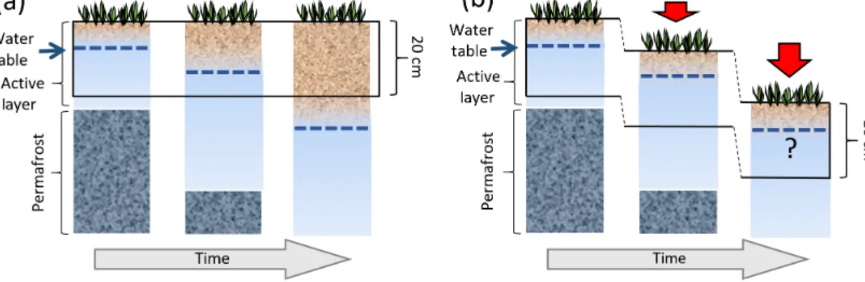 Figure 8. Schematic of changes in the soil column moisture (a) without subsidence (current models) and (b) with subsidence from thawing ice-rich permafrost (not represented by models), a process that may accumulate soil moisture and slow down drying over t