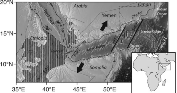 Figure 1. Simplified geodynamical map of the study region. The main structural units are named and localized (EAR, East African Rift; SeSFZ, Shukra el Sheik Fault Zone; AFFZ, Alula-Fartak Fault Zone; SHFZ, Socotra-Hadbeen Fault Zone; Owen FZ, Owen Fault Zo