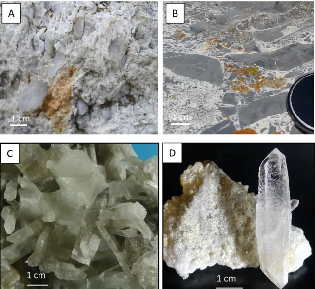 Fig.  3:  Macroscopic  features  of  studied  samples:  A:  silicified  breccia  from  basement/  Trias 1176 