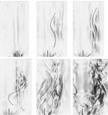 Fig. 2. Sequence of top-view dye-visualizations of the asymmetric dipolar flow for Froude number approximately 4