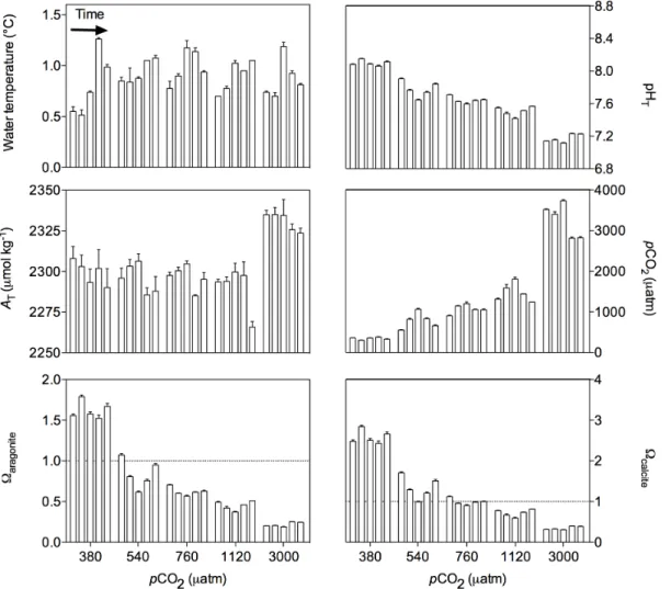 Table 2. Sediment size distribution (%) in the different depth layers, expressed as an average (SD) value between the different cores used in the experiment.