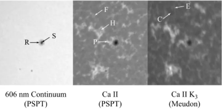 Fig. 1.—Images covering quiet-Sun network, active network, and active region features in the PSPT red and Ca ii K broad bands, and in Ca ii K 3 (data from the Meudon Observatory in 2005)