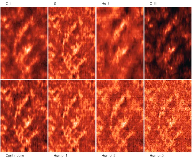 Fig. 3. A QS area simultaneously recorded during a single raster scan in various VUV emissions