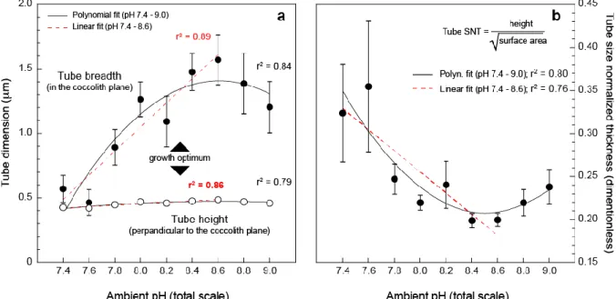 Figure 4. Dissecting the morphometric changes of the coccolith tube with changing ambient  pH