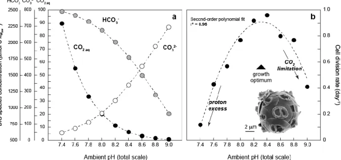 Figure  1.  Change  in  cellular  division  rates  of  the  coccolithophore  Gephyrocapsa  oceanica  (strain RCC 1314) with changes in ambient pH
