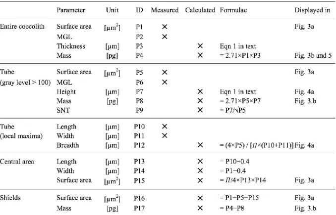 Table 1. Coccolith Morphometric Parameters Defined in Text and Used in the Present Study