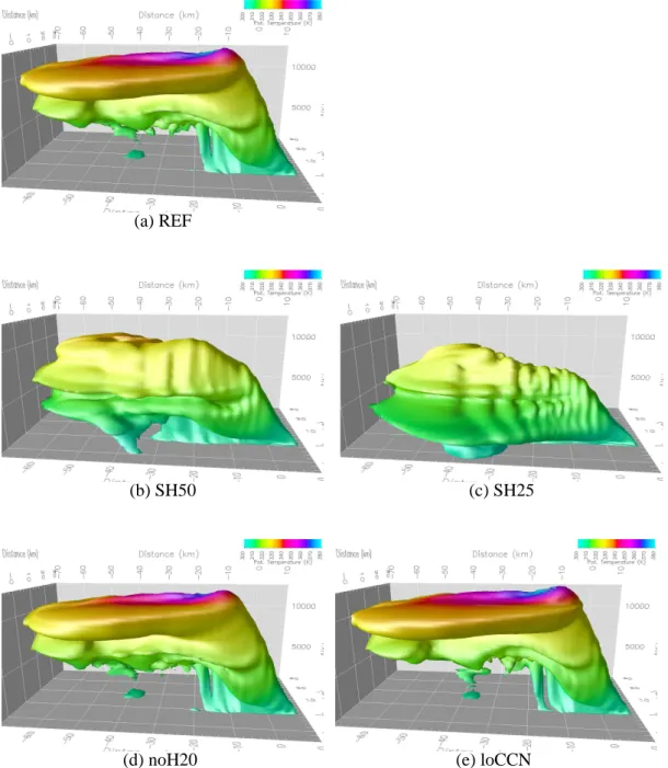 Fig. 3. 100 µg m −3 iso-surface of aerosol concentration after 40 min integration time for (a) the reference simulation, (b) the sensitivity studies SH50, (c) SH25, (d) noH2O, and (e) loCCN