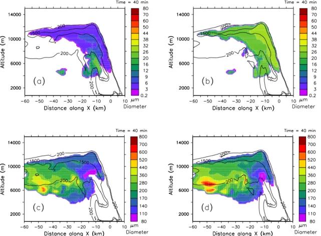 Fig. 6. Sensitivity of hydrometeor volume mean diameter (VMD) to CCN abundance. Diameters are depicted for (a) small size classes (cloud droplets and ice crystals) in REF, (b) small size classes in loCCN, (c) large size classes (rain drops and graupel) in 