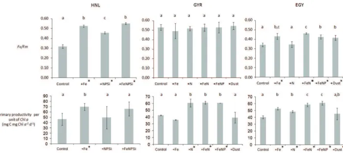 Fig. 2. Effect of nutrient additions during bioassay experiments performed at the three stations (HNL, GYR, EGY) (a) Photochemical efficiency of photosystem II (F v /F m ) after 24 h incubation, (b) Primary productivity per unit chlorophyll-a (mg C mg Chl-