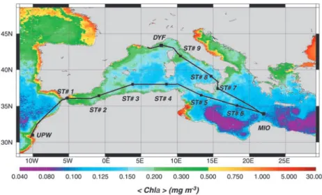 Figure 2. Relationship between surface hChlai and the blue-to- blue-to-green reflectance ratio derived from in situ data (determined just below the surface)