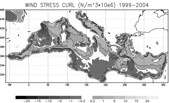 Fig. 8. Map of wind stress curl computed as average from the model experiments over the years 1999–2004.