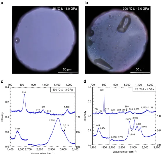 Figure 2 | Optical views of the diamond anvil cell and Raman spectra of the immiscible hydrocarbon droplets of Exp_3