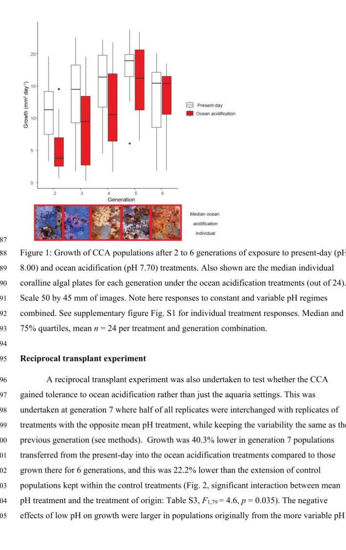 Figure 1: Growth of CCA populations after 2 to 6 generations of exposure to present-day (pH 