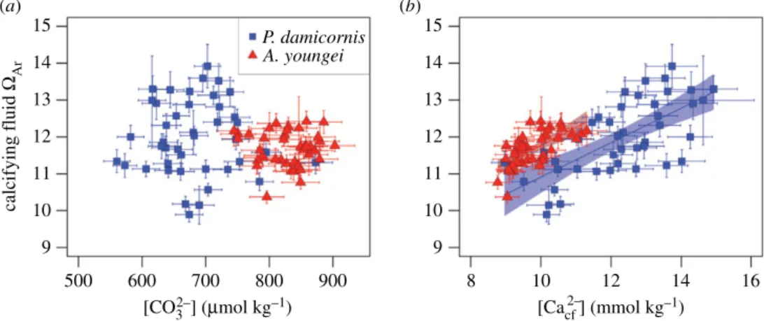 Figure 4. Relative influences on coral calcifying fluid V Ar . Sensitivity of V Ar to (a) ½ CO 2% 3 # cf and (b) ½ Ca 2þ # cf 