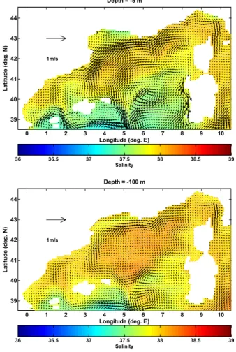Fig. 7. Initial Conditions for velocity and salinity: at 5 m depth (upper panel) and at 100 m depth (lower panel), from December of the 8th year of the Mediterranean Sea OGCM climatological integration (source data: Mediterranean Forecasting System, 2002).