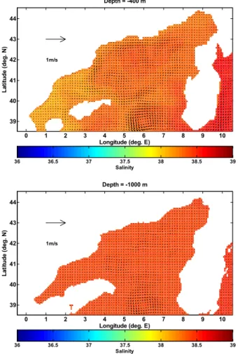 Fig. 8. Initial Conditions for velocity and salinity: at 400 m depth (upper panel) and at 1000 m depth (lower panel), from December of the 8th year of the Mediterranean Sea OGCM  climato-logical integration (source data: Mediterranean Forecasting System, 2