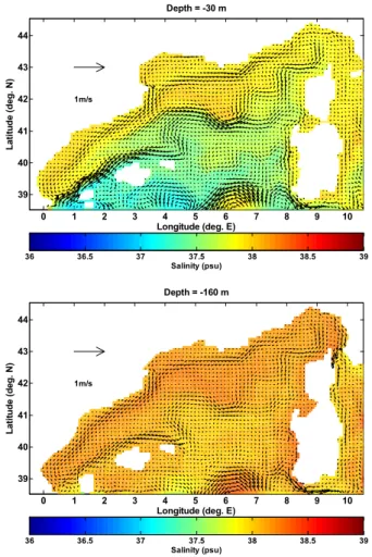 Fig. 11. Velocity field and horizontal distribution of salinity: at 30 m depth (upper panel) and at 160 m depth (lower panel) during August from the climatological experiment.