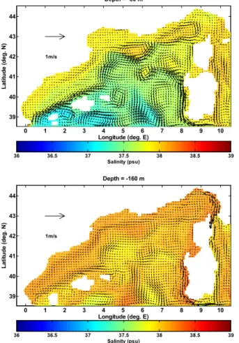 Fig. 15. Velocity field and horizontal distribution of salinity: at 30 m depth (upper panel) and at 160 m depth (lower panel) during February from the climatological experiment.
