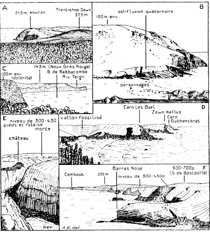 Fig.  10.  —  Falaises  (croquis  d'après  nature).  A  :  Hog' s  backs  du.  N  du  Devon (Hangman  Grits)