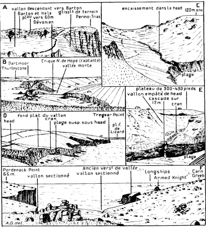 Fig.  11.  —  Vallons  côtiers  (croquis  d'après  nature).  A :  Oddicombe 