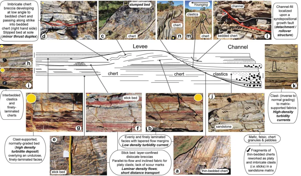 Figure 2. (Colour online) The channel-levee depositional model for the Marble Bar Chert Member showing illustrations of the associated depositional facies