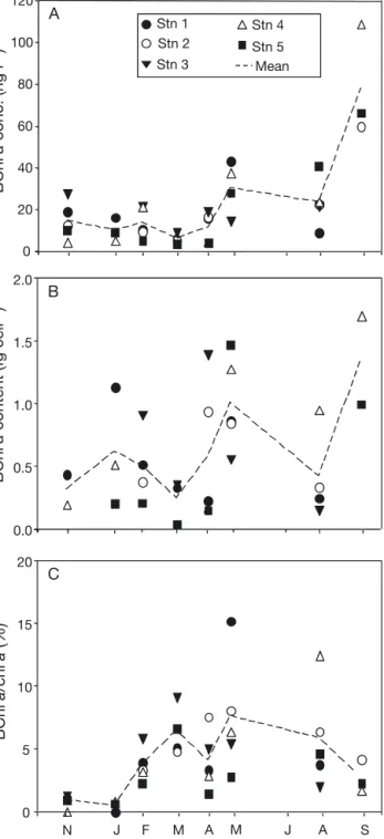 Fig. 4. Temporal evolution of (A) BChl a concentration (B) BChl a content per AAnP cell and (C) BChl a/chl  a ratio at each sampling station (Stns 1 to 5) and the mean of the 5  sta-tions at each sampling time from 29 November 2007 (N 07) to 24 September 2