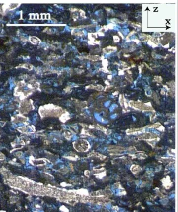 Figure 1. Thin section of Meriel limestone. The porous network is represented by blue epoxy.