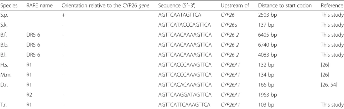 Fig. 9 Model for regulation and function of CYP26 genes in amphioxus. The position of the functionally validated retinoic acid response elements (RAREs) within the amphioxus CYP26 cluster is indicated relative to the start codons of the three amphioxus CYP