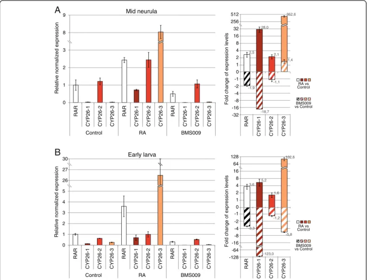 Fig. 4 Quantitative changes of amphioxus CYP26 expression in response to retinoic acid (RA) signaling alterations