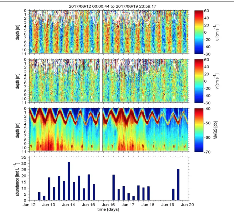 FIGURE 8 | An 8-day sample (2017/06/12 00:00 to 2017/06/20 00:00) of horizontal velocity components u and v as well as backscatter estimated from the ADCP, moored about 500 m north of the island of Helgoland at a depth of around 10 m at the AWI underwater 