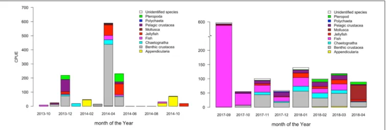 FIGURE 7 | Data from the RemOs1 stereoscopic fish observatory attached to the underwater node system in Kongsfjorden