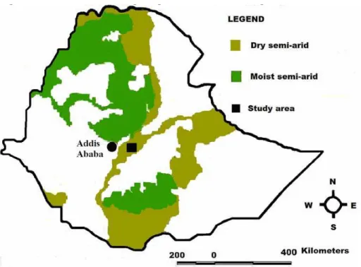 Figure 2. Semi arid areas in Ethiopia. (Source: IGAD and FAO, 1995). Areas with lengFig