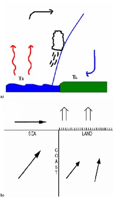 Fig. 1. Sketch of the physical processes responsible of the forma- forma-tion of coastal fronts: (a) thermal difference and (b) fricforma-tional  con-vergence.