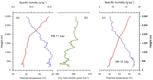 Fig. 3. Vertical profiles of potential temperature and specific humidity for the late afternoon of 11 July (p.m