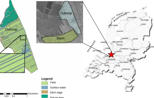 Fig. 1. The location of the intensively and less intensively managed areas in the Netherlands (right) and a close up (middle) of the intensively manage area (Oukoop) and the less intensively managed area (Stein)