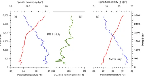 Fig. 3. Vertical profiles of potential temperature and specific humidity for the late afternoon of 11 July (PM 11 July) and mid-morning of 12 July (AM 12 July)