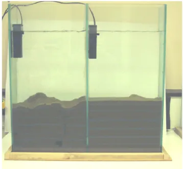 Fig. 1. SEM micrograph of the sand grains fed to the lugworms and earthworms. The sand-size component is clean, clay-free sand.