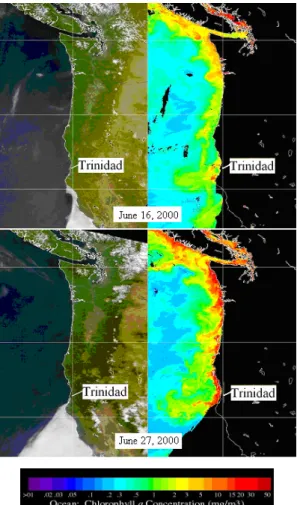 Fig. 4. SeaWiFS images (provided by ORBIMAGE). Upper panel: Images from 16 June 2000 during an upwelling event recorded in Fig