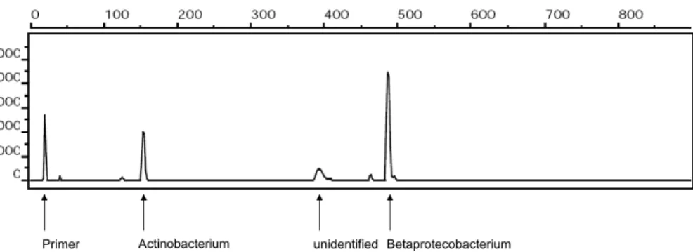 Fig. 2. T-RFLP trace of the bacteria (16S rRNA gene digested with MspI) in an aerosol sample (PM 2.5 ) taken in Munich in spring, 2005.