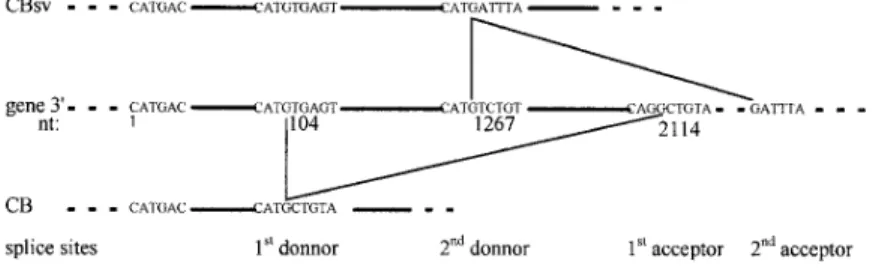 Figure 5. Relative abun- abun-dance of CB and CB SV