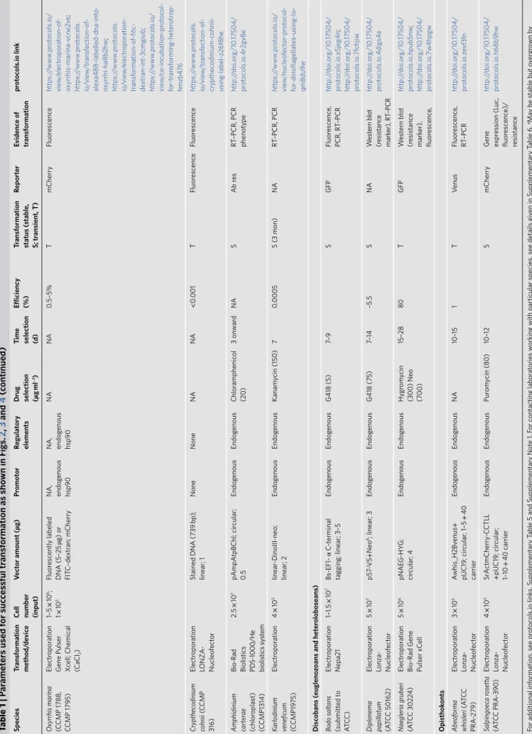 Table 1 | Parameters used for successful transformation as shown in Figs. 2, 3 and 4 (continued)