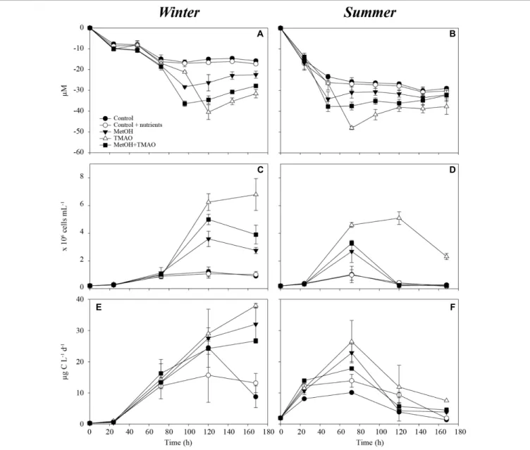 FIGURE 1 | Oxygen consumption over the course of the experiment in winter (A) and summer (B), bacterial abundance over the course of the experiment in winter (C) and summer (D) and bacterial production over the course of the experiment in winter (E) and su