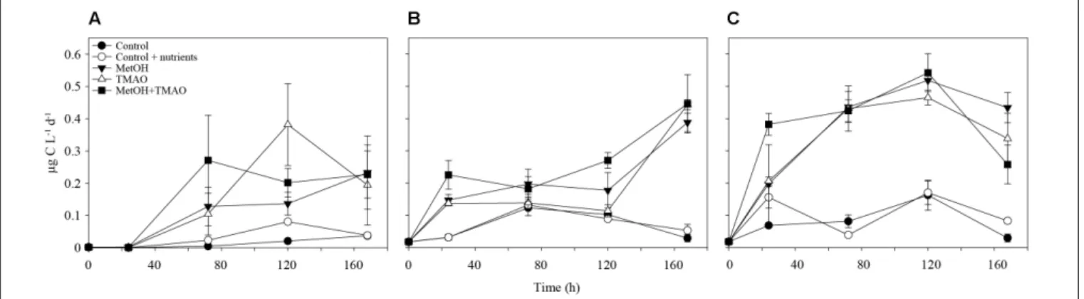 FIGURE 2 | Methanol assimilation over the course of the experiment in winter (A) and summer (B) and methanol respiration in summer (C)