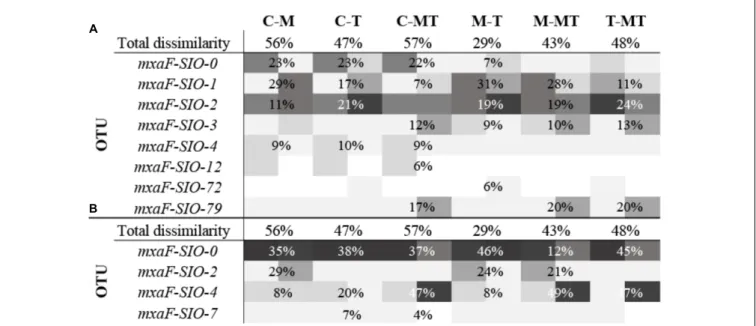 FIGURE 5 | Heatmap of percent relative abundance of bacterial OTUs responsible for more than 70% of the dissimilarity between two samples (calculated by Bray Curtis, SIMPER analysis), in winter (A) and in summer (B)