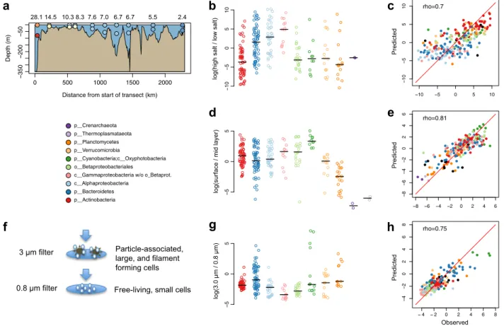 Fig. 3 Observed and predicted distributions of BACLs along selected niche gradients. a Side view of Transect 2014 with surface and mid layer samples indicated by circles, colored according to salinity as in Fig