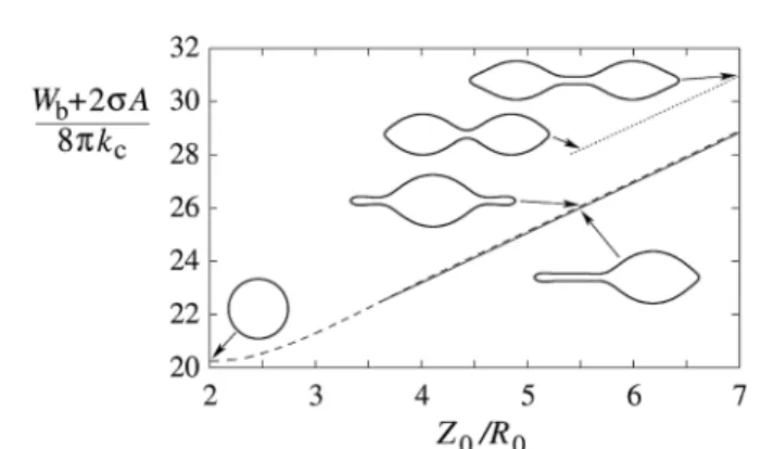 Fig. 2 Energy of the axially strained vesicle as a function of its length, plotted for axisymmetric shapes with a single tether (full line), two tethers (dashed line) and a dumbbell shape (dotted line)