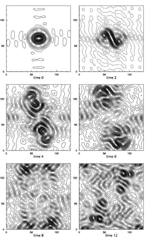 Fig. 3. (a) Decreasing the number of degrees of freedom: unperturbed state. Successive snapshots of the vorticity field (r 3 = 1 ) , N = 16