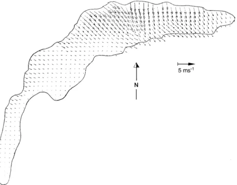 Fig. 7. A typical early morning (3:00) wind field over the lake constructed from wind data measured at the stations around the lake (see Fig