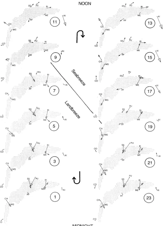 Fig. 6. A typical wind field around Lake Geneva. By averaging for each hour of the day over 45 days (from July to August 1986) 24 hourly mean wind vectors at all stations were derived