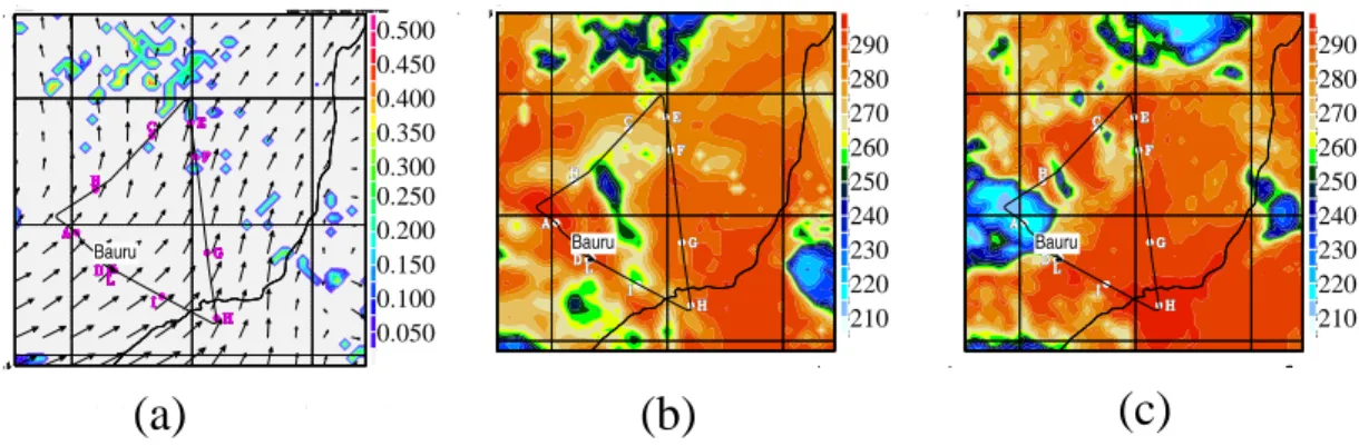 Fig. 3. (a) Simulated convective tendency for NO in pptv/s at 12 km, (b) 10.7 µm BTs (K) obtained from the Meso-NH simulation and (c) 10.7 µm BTs (K) obtained from GOES-12  ob-servation on 3 March 2004 at 12:00 UTC